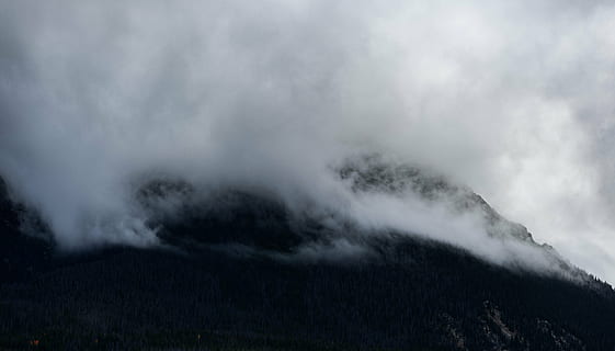 mountain, covered, clouds, fog, dark, sky, cold, nature, valley, landscape, scenics, smoke - physical structure, beauty in nature, no people, weather, tranquility, outdoors, cloud - sky, environment, scenics - nature, land, non-urban scene, forest, tree, mountain range, plant, storm, meteorology, ominous, 5K, CC0, public domain, royalty free
