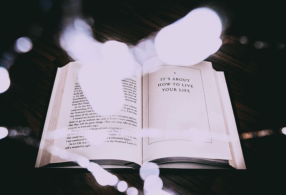 obert, llibre, taula, bokeh llums, pàgina, text, imprimir, bokeh, novel·la, llum, mínim, modern, la vida, en viu, fusta dura, fusta, llum de fades, fada, publicació, paper, a l'interior, educació, primer pla, mà humana, vista d’angle alt, comunicació, una persona, creativitat, lectura, persones reals, estudiar, 4K