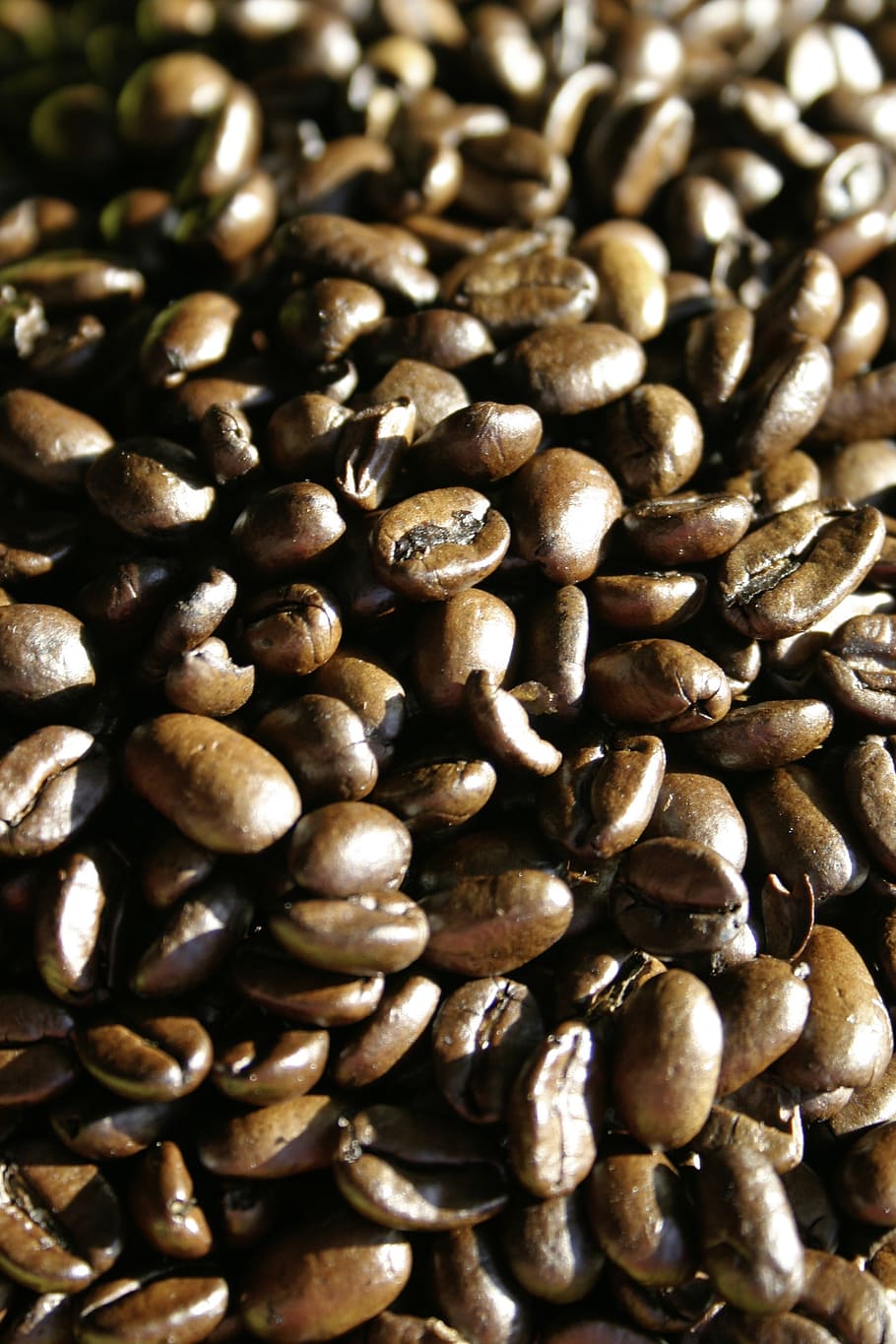 Kaffee, Kaffeebohnen, geröstet, braun, Aroma, Cafe, Bohnen, Koffein, Stimulans, Bohne, Braten, genießen, Kaffee Bild, Essen und Trinken, Lebensmittel, große gruppe von gegenständen, Frische, Hintergründe, Vollbild, geröstete Kaffeebohne, Kaffee trinken, Fülle, Stillleben, drinnen, keine Leute, Nahansicht, Kaffeebohne, Wohlbefinden, High Angle View, gesundes Essen, Versuchung, 2K