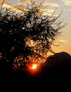 Sonnenuntergang, Wolke, Weiß, streifig, Sonne, orb, hell, Heiligenschein, hell und weich orange, Gelb, glühen, Bäume und Busch, Hügel, Himmel, Baum, Silhouette, Schönheit in der Natur, Pflanze, Natur, Ruhe, Sonnenlicht, Szenen - Natur, keine Leute, ruhige Szene, orange Farbe, Ast, idyllisch, Wachstum, draußen, wolke - himmel, Land, 1080P, CC0, gemeinfrei, lizenzfrei