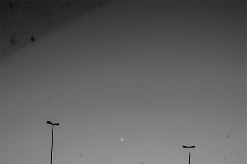untitled, moon, sky, lamp, posts, black, white, lamp posts, black and white, silhouette, no people, technology, low angle view, outdoors, night, nature, animal themes, street light, street, lighting equipment, copy space, clear sky, day, bird, vertebrate, floodlight, scenics - nature, beauty in nature, tranquility, 1080P, CC0, public domain, royalty free
