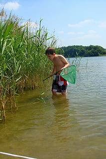 chłopak, kabaretki, ryba, trzcina, naturalna woda, Natura, chmury, niebieskie niebo, krajobraz, jasny, woda, prawdziwi ludzie, jedna osoba, styl życia, spędzania wolnego czasu, roślina, piękno natury, dzień, Półnagi, nabrzeże, niebo, wylądować, trzy czwarte długości, na dworze, dorosły, mężczyźni, jezioro, 2K, CC0, domena publiczna, darmowe zdjęcia