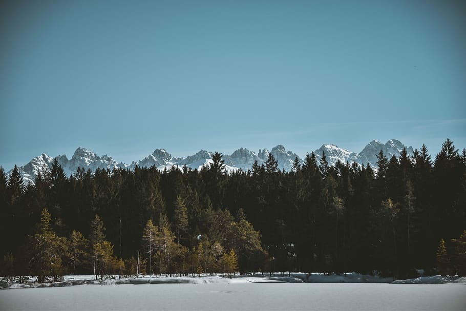 snedækket bjerg, landskabsfotografering, bjerge, blå, himmel, bjerg, Skov, træ, fyrretræ, kold, sne, vinter, tomt mellemrum, 4k, baggrund, hd tapet, natur, jul, sø, kold temperatur, plante, skønhed i naturen, scenics - natur, ro, rolig scene, miljø, jord, ingen mennesker, ikke-urbane scene, dag, landskab, udendørs, nåletræ, 5K