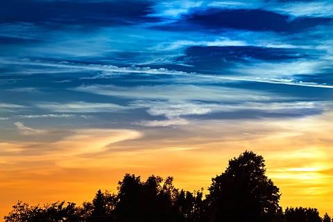 Schattenbildfoto, locke, Weiß, Himmel, Silhouette, Foto, weißer Himmel, Sonnenuntergang, Wolken, abendstimmung, Kondensstreifen, bunt, Farbwechsel, Abend, Natur Himmel, helle Wolke, Dämmerung, Stimmung, Natur, Nachglühen, Romantik, Bäume, wolke - himmel, draußen, szenen, Sonnenlicht, Blau, Sonne, Wolkengebilde, Landschaft, Schönheit in der Natur, orange Farbe, Sommer-, Sonnenaufgang - Morgendämmerung, Gelb, Baum, Szenen - Natur, Pflanze, Ruhe, ruhige Szene, keine Leute, Wachstum, Flachwinkelansicht, idyllisch, Dramatischer Himmel, Nicht-städtische Szene, romantischer Himmel, 5K, CC0, gemeinfrei, lizenzfrei