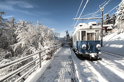 sne, dækket, jernbanetog, blå, hvid, tog, kold, vinter, transportmidler, transportform, kold temperatur, natur, rejse, hvid farve, svævebane, sollys, offentlig transport, jernbanetransport, himmel, tog - køretøj, arkitektur, træ, jernbanespor, spore, udendørs, 4K, CC0, offentligt domæne, royaltyfrie