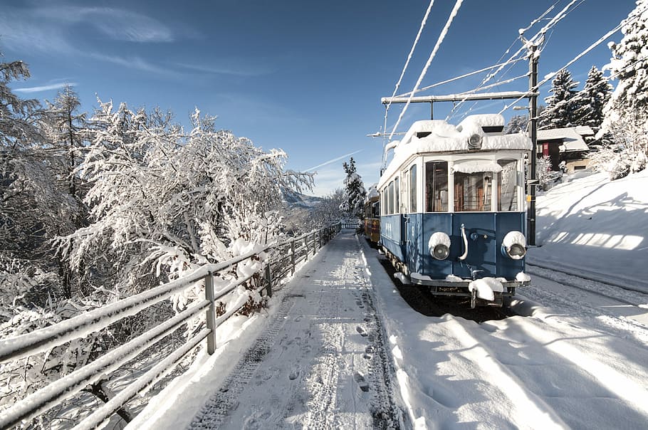 sne, dækket, jernbanetog, blå, hvid, tog, kold, vinter, transportmidler, transportform, kold temperatur, natur, rejse, hvid farve, svævebane, sollys, offentlig transport, jernbanetransport, himmel, tog - køretøj, arkitektur, træ, jernbanespor, spore, udendørs, 4K