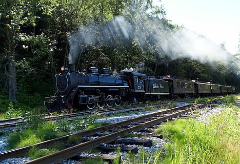 train, track, engine, rail transportation, train - vehicle, plant, tree, steam train, transportation, mode of transportation, railroad track, smoke - physical structure, public transportation, nature, day, locomotive, steam, travel, land vehicle, motion, outdoors, 4K, CC0, public domain, royalty free