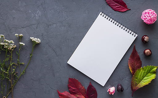 Weiß, Notizbuch, Blumen, Blätter, Papier-, Arbeit, Büro, schreiben, Aufzeichnung, Tagebuch, Tabelle, Album, Notebook öffnen, Sekretär, leere Seite, die Notiz, Seite, Herbst, Blume, leer, High Angle View, Pflanze, keine Leute, Buch, Veröffentlichung, blühende Pflanze, kopieren sie platz, Notizblock, Spiralblock, Stift, Natur, rot, Bleistift, drinnen, Botschaft, 4K, CC0, gemeinfrei, lizenzfrei