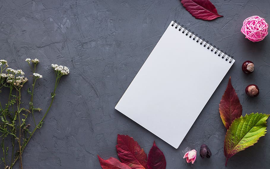 blanc, quadern, flors, fulles, paper, treballar, oficina, escriure, registre, diari, taula, àlbum, obriu el quadern, secretari, Pàgina en blanc, la nota, pàgina, tardor, flor, en blanc, vista d’angle alt, planta, cap gent, llibre, publicació, planta amb flors, còpia espai, bloc de notes, quadern d’espiral, bolígraf, naturalesa, vermell, llapis, a l'interior, missatge, 4K