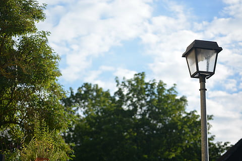 lanterna, nuvole, cielo, verde, albero, nuvola - cielo, attrezzatura per l'illuminazione, pianta, Inquadratura dal basso, giorno, natura, nessuno, lampione, strada, all'aperto, concentrarsi sulle conoscenze acquisite, polo, tecnologia, luce elettrica, luce a gas, sorveglianza, crescita, luce, lampada elettrica, 5K, CC0, dominio pubblico, privo di copyright