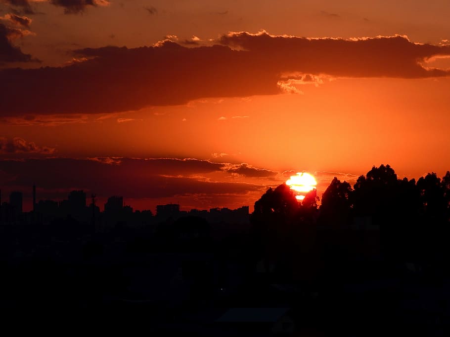 sol, Alba, alberi, rossastro, tramonto, crepuscolo, paesaggio urbano, skyline urbano, natura, silhouette, cielo, colore arancione, bellezza nella natura, nuvola - cielo, città, scenics - natura, nessuno, albero, architettura, paesaggio, la tranquillità, cielo drammatico, scena tranquilla, ambiente, pianta, sole, all'aperto, buio, cielo romantico, 4K