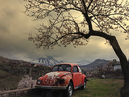 rød, Volkswagen beetle, ved siden av, tre, vår, bug, fjell, snø, landskap, natur, skyer, Sky, Tyrkia, himmel, fjellene, høy, bakgrunn, taylor, Doga, bil, skyet, transport, sky - himmel, landlige scene, eventyr, scenics, transportmiddel, anlegg, motorkjøretøy, land kjøretøy, skjønnhet i naturen, land, naturskjønnhet - natur, ingen folk, ikke-urbane scene, miljø, gren, dag, utendørs, snødekte fjell, fjelltopp, 2K, CC0, offentlig domene, opphavsrett gratis