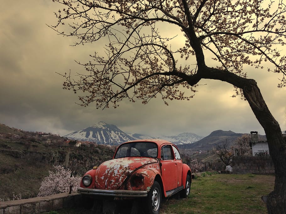 vermell, escarabat volkswagen, al costat, arbre, primavera, error, muntanya, neu, paisatge, naturalesa, núvols, núvol, gall dindi, cel, muntanyes, alt, fons, Taylor, doga, cotxe, ennuvolat, transport, núvol - cel, escena rural, aventura, escenics, manera de transport, planta, automòbil, vehicle terrestre, bellesa a la natura, terra, escenics - natura, cap gent, escena no urbana, medi ambient, branca, dia, a l'aire lliure, muntanya nevada, cim de muntanya, 2K