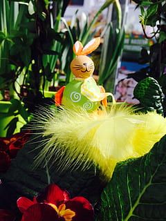hare, påske, Påske hare, forår, blomster, blomst, plante, blomstrende plante, tæt på, skønhed i naturen, friskhed, natur, vækst, menneskelig repræsentation, repræsentation, ingen mennesker, blomsterstand, fokus på forgrunden, sårbarhed, skrøbelighed, blomsterhoved, blad, dag, plante del, grøn farve, udendørs, pollen, 2K, CC0, offentligt domæne, royaltyfrie