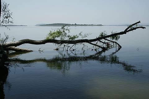 lack, reflexion, vatten, natur, himmel, träd, lugn, växt, skönhet i naturen, sjö, lugn plats, vid vatten, icke-urbana scenen, scenics - natur, inget folk, dag, utomhus, klar himmel, idyllisk, trunk, drivved, 4K, CC0, offentligt domän, royaltyfria