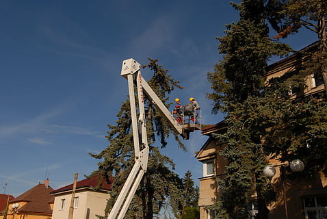 arbejdere, automatisk arm, platform, rette op, energi, træer, hus, loftsrum, skjult hus, træ, plante, himmel, bygning udvendig, lav vinkel visning, bygget struktur, arkitektur, natur, dag, bygning, en person, rigtige mennesker, beskæftigelse, arbejder, udendørs, herrer, sky - himmel, vækst, blå, 4K, CC0, offentligt domæne, royaltyfrie
