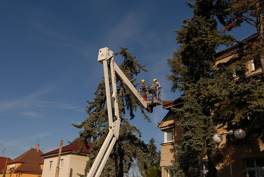 pracovníků, automatické rameno, plošina, opravit, energie, stromy, Dům, podkroví, skrytý dům, strom, rostlina, nebe, exteriér budovy, nízký úhel pohledu, stavba, architektura, Příroda, den, budova, jedna osoba, skutečných lidí, obsazení, pracovní, venku, muži, mrak - nebe, růst, modrý, 4K