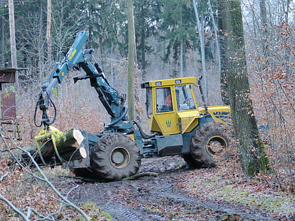 Forest, Tree, Workers, Firs, forest workers, trees, nature, vehicle, landscape, flower, in the, log, machinery, industry, earth Mover, construction Industry, dirt, equipment, construction Site, bulldozer, construction Machinery, land Vehicle, digging, outdoors, working, vehicle Scoop, day, snowing, no people, transportation, mode of transportation, land, plant, trunk, tree trunk, yellow, road, wheel, industrial equipment, 4K, CC0, public domain, royalty free