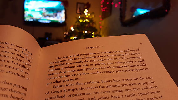 book, reading, research, chapter, open book, words, knowledge, text, paper, communication, illuminated, no people, western script, night, publication, indoors, focus on foreground, close-up, architecture, christmas lights, christmas, celebration, arts culture and entertainment, belief, history, 5K, CC0, public domain, royalty free