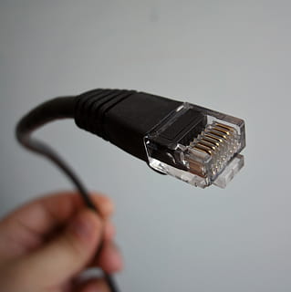 cable ethernet negro, Ethernet, cable de red, redes, negocio, comunicación, mano humana, mano, foto de estudio, adentro, parte del cuerpo humano, de cerca, una persona, cable, participación, tecnología, conexión, solo objeto, cable de computadora, computadora, fondo gris, gris, equipo de computadora, tecnología inalámbrica, electricidad, dedo, 2K, CC0, dominio público, libre de derechos