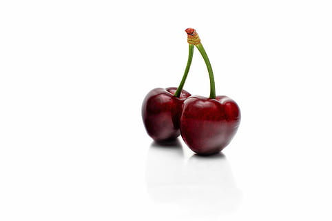 rote Kirschfrüchte, Kirsche, Obst, köstlich, Lebensmittel, gesundes Essen, Essen und Trinken, Wohlbefinden, Frische, Studioaufnahme, rot, ausgeschnitten, Nahansicht, Pflanzenstamm, weißer Hintergrund, kopieren sie platz, drinnen, Pflanze, keine Leute, Stillleben, reif, Gruppe von Objekten, 4K, CC0, gemeinfrei, lizenzfrei