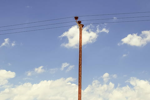 pol, cer, nori, fire, telefon, linia, nor - cer, vedere unghiulară joasă, cablu, zi, natură, electricitate, linie de alimentare, în aer liber, conexiune, nici o persoana, albastru, combustibil și generarea de energie electrică, tehnologie, alimentare electrică, lumina soarelui, animale sălbatice, linie telefonică, 4K, CC0, domeniu public, fără drepturi de autor