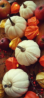 carbassa, physalis, poma, barberry, decoració, tardor, llum, il·luminat, Halloween, baby boo, lichterkette, lampionblume, blanc, taronja, vermell, decoració de tardor, menjar i beguda, menjar, alimentació saludable, benestar, frescor, vegetals, cap gent, natura morta, vista d’angle alt, primer pla, elecció, variació, aliments crus, a l'interior, mercat, fruita, gran grup d'objectes, color taronja, a la venda, madur, 2K, CC0, domini públic, lliure de regalies