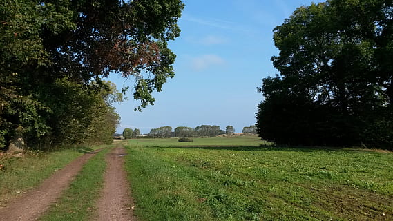 paesaggio, Nyborg, pianta, albero, erba, colore verde, natura, direzione, cielo, la strada davanti, crescita, giorno, campo, nessuno, terra, strada, la tranquillità, scena tranquilla, sentiero, bellezza nella natura, ambiente, all'aperto, prospettiva decrescente, 2K, CC0, dominio pubblico, privo di copyright