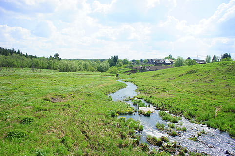 river, green, pebbles, nature, summer, ok, plants, water, plant, sky, scenics - nature, cloud - sky, beauty in nature, environment, tranquility, green color, tree, grass, landscape, tranquil scene, day, no people, land, field, growth, outdoors, stream - flowing water, flowing, flowing water, swamp, 1080P, CC0, public domain, royalty free