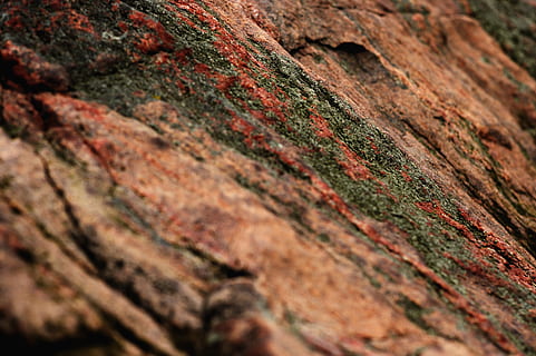 pietra, roccia, elementi, struttura, structur, superficie, messa a fuoco selettiva, strutturato, nessuno, avvicinamento, fotogramma intero, giorno, ruvido, sfondi, pianta, roccia - oggetto, tronco d'albero, albero, natura, tronco, intemperie, all'aperto, legno - materiale, solido, Marrone, lichene, 2K, CC0, dominio pubblico, privo di copyright