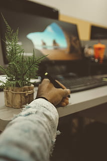 selektiv, Fotografie, Person, halten, Stift, Schreiben, Schreibtisch, Arbeit, Arbeiten, Laptop, Topfpflanze, Hand, Computer, menschliche Hand, eine Person, Technologie, drinnen, kabellose Technologie, menschliches Körperteil, Verbindung, Männer, echte Menschen, Tabelle, Kommunikation, Computerausrüstung, Lebensstile, persönliche Perspektive, selektiver Fokus, Tastatur, 5K, CC0, gemeinfrei, lizenzfrei
