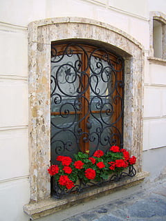 finestra antiga, rústic, arquitectura, humor, flor, planta amb flors, exterior de l'edifici, planta, estructura construïda, cap gent, dia, edifici, finestra, tancat, entrada, porta, seguretat, vermell, naturalesa, frescor, fragilitat, casa, funció de construcció de parets, a l'aire lliure, motiu floral, test de flor, ornamentat, ferro forjat, 2K, CC0, domini públic, lliure de regalies