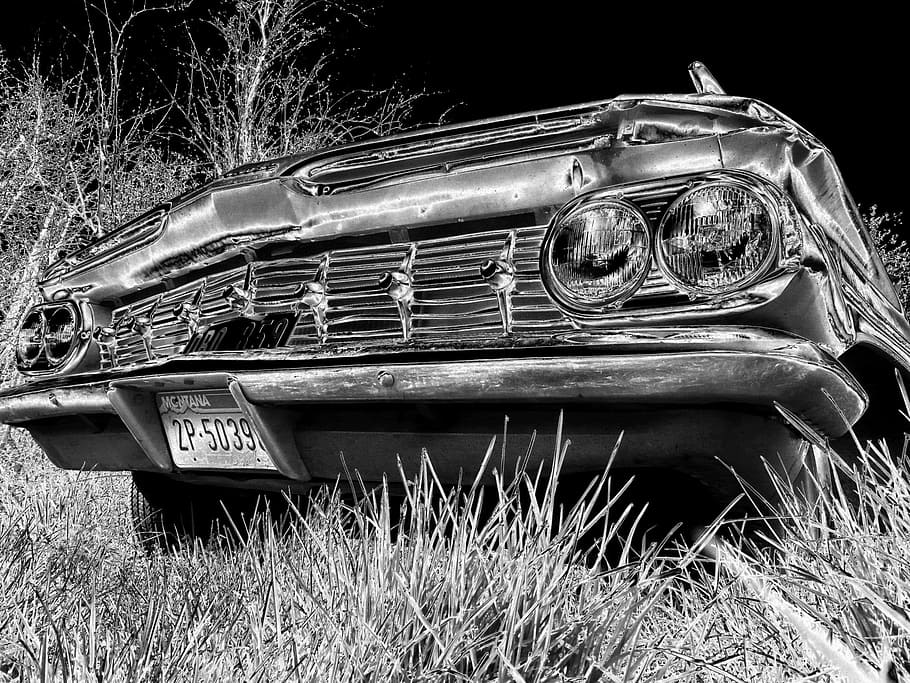 Oldtimer, Vorderseite, Schwarz und weiß, klassisch, Auto, Automobil, Motor-, Transport, Fahren, Fahrzeug, Fahrt, keine Leute, Pflanze, Tag, Text, alt, Kommunikation, Feld, Land, Metall, obsolet, verlassen, Natur, Gras, Retro-Stil, draußen, Nahansicht, Kraftfahrzeug, Transportmittel, heruntergewirtschaftet, ruiniert, 1080P