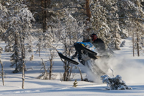 snescooter, sne, vinter, kold temperatur, træ, dag, bjerg, vintersport, natur, en person, plante, sport, transportmidler, ekstrem sport, fuld længde, jord, fritidsaktivitet, bevægelse, snowboarding, varme tøj, udendørs, dygtighed, 4K, CC0, offentligt domæne, royaltyfrie