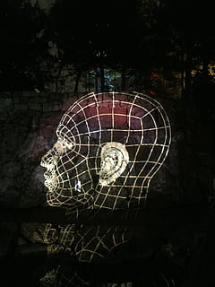 hoved, lys, kranium, struktur, nat, kunstværk, surrealistisk, sort baggrund, ingen mennesker, tæt på, indendørs, mønster, natur, dyr, Kunst og håndværk, dyre temaer, dyreliv, plante, dekoration, bur, skrøbelighed, edderkoppespind, belyst, træ, mørk, 2K, CC0, offentligt domæne, royaltyfrie