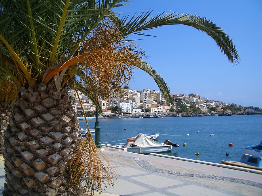 creta, Grècia, núvols, port, badia, cel, mar, oceà, aigua, escènic, sitia, ciutat, ciutats, arquitectura, edificis, estructura, palmell, planta de palma, vaixells, embarcacions, naturalesa, fora, platja, Palmera, vacances, llocs de viatges, destinacions de viatge, estiu, clima tropical, blau, línia de costa, complex turístic, viatjar, turisme, vaixell nàutic, arbre, transport, manera de transport, planta, cap gent, exterior de l'edifici, dia, estructura construïda, cel clar, a l'aire lliure, 1080P