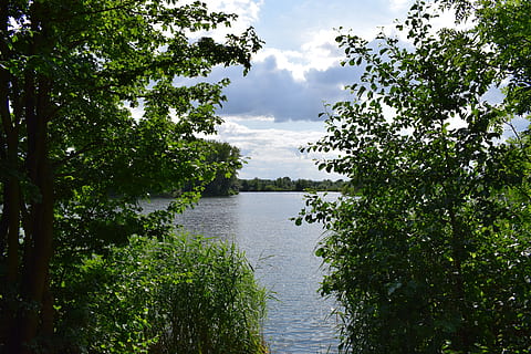 bosc, Camí, arbres, naturalesa, full, senderisme, paisatge, ruta, carretera, verd, caminar, camí rural, parc, muntanya, llac, calma, aigua, pau, riu, punt de vista, planta, arbre, creixement, bellesa a la natura, cel, escenics - natura, tranquil·litat, núvol - cel, color verd, dia, escena tranquil·la, cap gent, a l'aire lliure, idíl·lic, 5K, CC0, domini públic, lliure de regalies