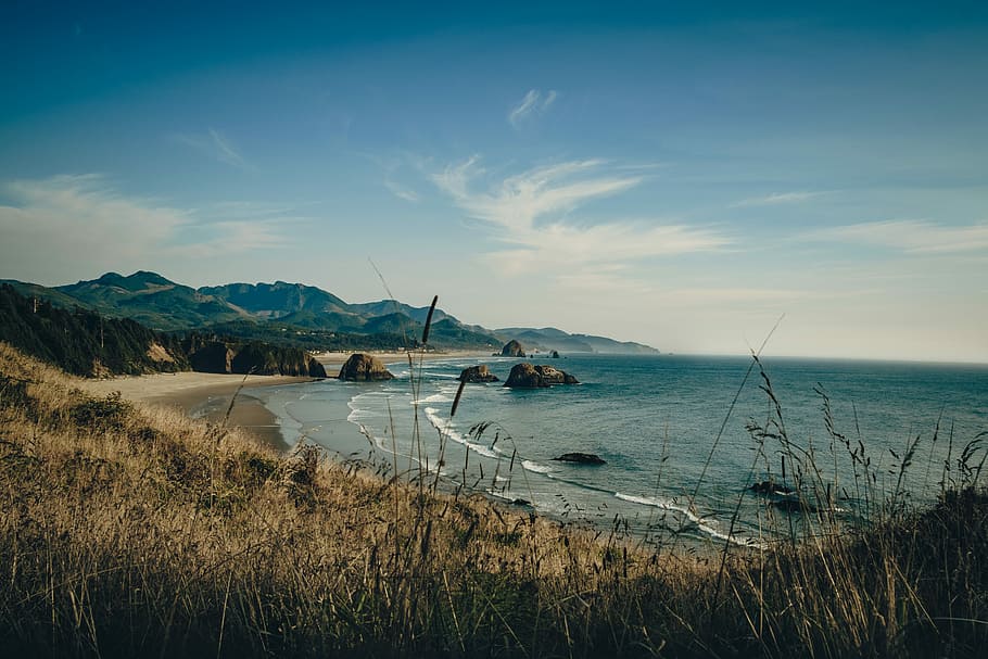 foto de paisatge, gris, platja de sorra, marró, camp de gespa, línia de costa, durant el dia, arbre, bosc, platja, muntanya, mar, oceà, rock, camp, paisatge, herba, onada, Costa, parc estatal ecola, oregon, cel, aigua, bellesa a la natura, escenics - natura, tranquil·litat, escena tranquil·la, núvol - cel, planta, naturalesa, terra, dia, cap gent, vaixell nàutic, horitzó, escena no urbana, horitzó sobre l’aigua, a l'aire lliure, herba de marram, herba de Timoteu, 4K