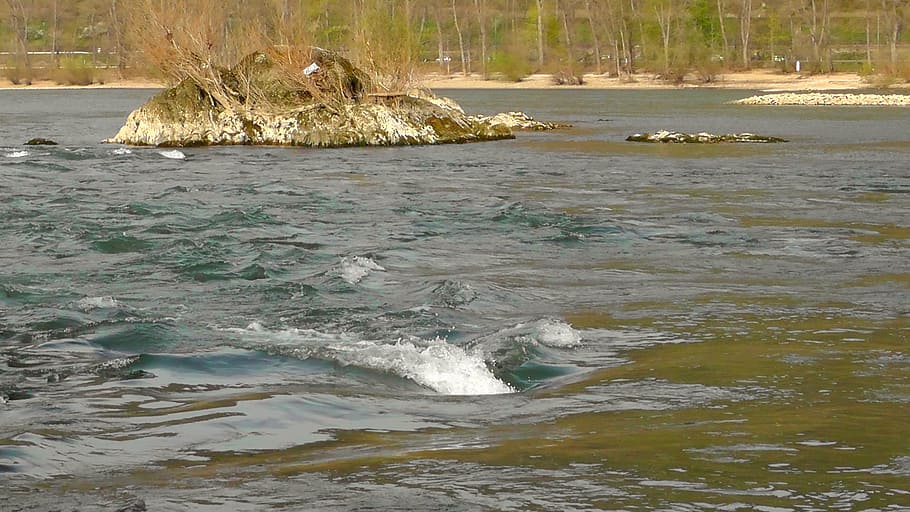 rapide, Reno, flusso, schiumogeno, fiume, roccia, natura, acqua, paesaggio, giorno, nessuno, bellezza nella natura, la tranquillità, movimento, scenics - natura, terra, scena tranquilla, lungomare, all'aperto, pianta, albero, scena non urbana, acqua corrente, fluente, 2K