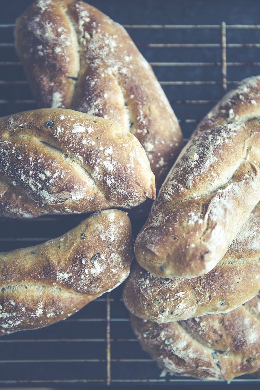 pa, rodar, menjar, enfornar, cruixent, casolà, deliciós, despertar, pastes, productes al forn, berenar, vinschgau, pa de pagès, blat sencer, al forn, alimentació, sègol, blat, civada, farina, auto servei, menjar i beguda, frescor, natura morta, primer pla, cap gent, a l'interior, marró, llest per menjar, taula, vista d’angle alt, benestar, centrar-se en primer pla, indulgència, carn, bun, reixa metàl·lica, alimentació saludable, 5K
