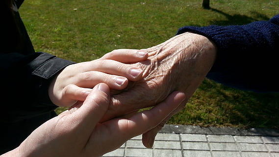 drei, Hände, halten, zusammen, Generationen, Alter, menschliche Hand, Hand, menschliches Körperteil, zwei Menschen, Zusammengehörigkeit, Männer, Erwachsene, Körperteil, Finger, Frau, positive Emotionen, Menschen, menschlicher Finger, Verbindung, Liebe, Freundschaft, Emotion, Tag, Lebensstile, Familie, Paar - Beziehung, 2K, CC0, gemeinfrei, lizenzfrei