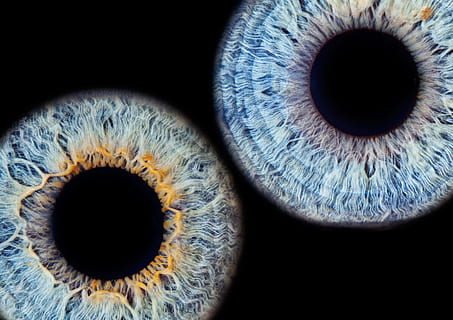 lent de dos ulls, iris, ull, macro, ull negre, vista, iris - ull, ull humà, percepció sensorial, part del cos, part del cos humà, primer pla, fons negre, tir de l'estudi, globus ocular, ciència, anatomia, primer pla extrem, biologia, a l'interior, patró natural, gent, ampliació, pestanya, compost digital, 4K, CC0, domini públic, lliure de regalies