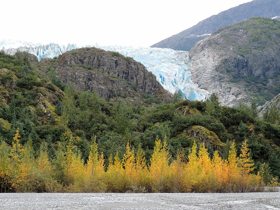 bjerg, grøn, træfotografering, landskabsfoto, træer, matteret, gletscher, træ, Skov, vej, vand, klippe, faldfarve, efterår, Tongass National Forest, alaska, klima forandring, blå, plante, skønhed i naturen, scenics - natur, rolig scene, ro, vækst, natur, dag, ingen mennesker, ikke-urbane scene, himmel, miljø, havnefronten, jord, idyllisk, udendørs, flydende vand, 4K
