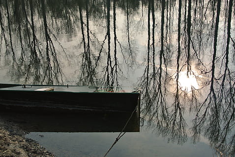 vann, refleksjon, sol, trær, støvel, reflektere, speiling, vinter, ingen folk, snø, tre, natur, kaldtemperatur, ro, bare tre, innsjø, rolig scene, skjønnhet i naturen, anlegg, naturskjønnhet - natur, nautisk fartøy, utendørs, transport, robåt, 4K, CC0, offentlig domene, opphavsrett gratis