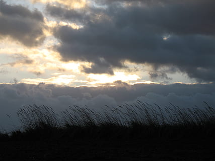 Wolken, Gras, Landschaft, Aussicht, Natur, dunkle Wolken, Blau, Himmel, Feld, nach dem Regen, Nach dem Sturm, Wind, Textur, dunkel, Aura, der Hintergrund, Sonnenstrahlen, wolke - himmel, szenen, Ruhe, Schönheit in der Natur, ruhige Szene, Szenen - Natur, keine Leute, Pflanze, Umgebung, Nicht-städtische Szene, draußen, Sonnenuntergang, Baum, Tag, Land, idyllisch, 2K, CC0, gemeinfrei, lizenzfrei