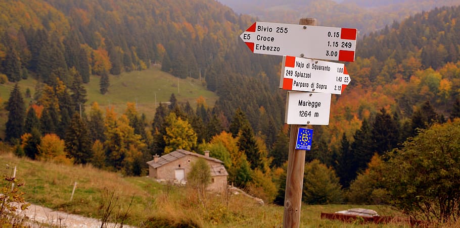 senyal, cruïlla de camins, excursió, bosc, arbres, tardor, el camí europeu, e5, lessinia, Itàlia, arbre, comunicació, signe, planta, text, terra, naturalesa, orientació, cap gent, dia, muntanya, a l'aire lliure, informació, escenics - natura, carretera, guió occidental, senyal direccional, senyal de trànsit, canvi, 5K