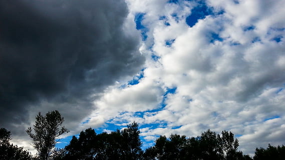 skyer, Polen, himmel, landskab, træ, sommer, natur, himlen skyer, udsigt, sky - himmel, lav vinkel visning, skønhed i naturen, plante, ingen mennesker, ro, scenics - natur, rolig scene, dag, udendørs, blå, vækst, trætop, dramatisk himmel, silhuet, cloudscape, ildevarslende, meteorologi, 2K, CC0, offentligt domæne, royaltyfrie