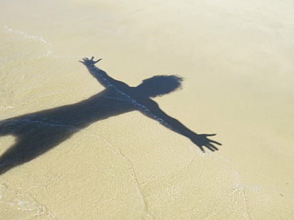 menselijk, schaduw, strandzand, dag, strand, gedachten, zand, door zonsondergangen, oceaan, natuur, bederven, zonsondergang, water, kalmte, stil, omhelzing, zonlicht, focus op schaduw, land-, geen mensen, gewerveld, één dier, buitenshuis, dierenleven, zoogdier, dieren in het wild, hoge hoekmening, 2K, CC0, publiek domein, royaltyvrij