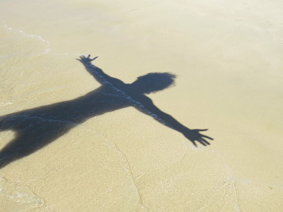 Mensch, Schatten, Strandsand, tagsüber, Strand, Gedanken, Sand, von Sonnenuntergängen, Ozean, Natur, beschädigen, Sonnenuntergang, Wasser, Ruhe, ruhig, Umarmung, Sonnenlicht, Fokus auf Schatten, Land, keine Leute, Wirbeltier, Tag, ein Tier, draußen, Tierwelt, Säugetier, Tiere in freier Wildbahn, High Angle View, 2K