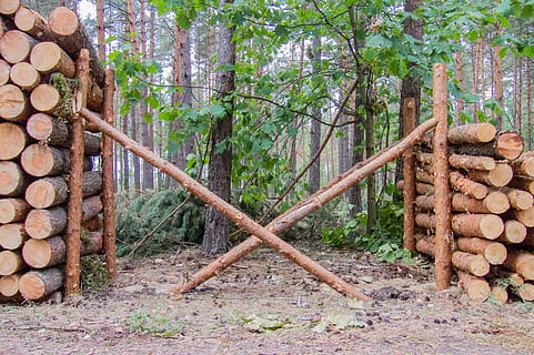 legna, fetta, pila, pino, taglio, supportato, albero, giardinaggio, tronco, legname segato, mucchio di legno, foresta, legno - materiale, ceppo, giorno, all'aperto, nessuno, pianta, terra, natura, legna da ardere, tronco d'albero, la deforestazione, legname, industria del legname, crescita, grande gruppo di oggetti, 4K, CC0, dominio pubblico, privo di copyright